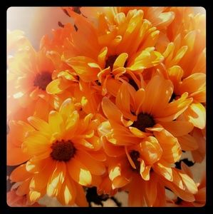 NEW ITEMS👖👚👗👓